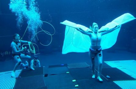 Кейт Уинслет под водой: появилось еще одно фото со съемок «Аватара 2»