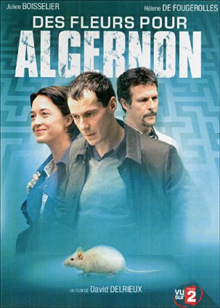    / Des fleurs pour Algernon (2006)
