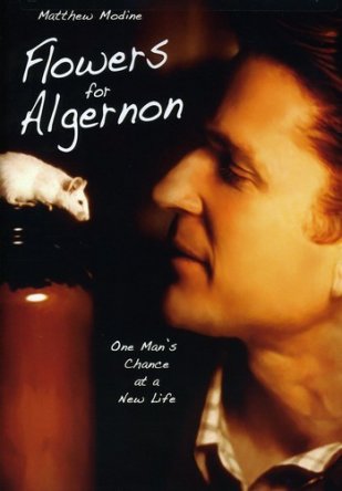    / Flowers for Algernon (2000)