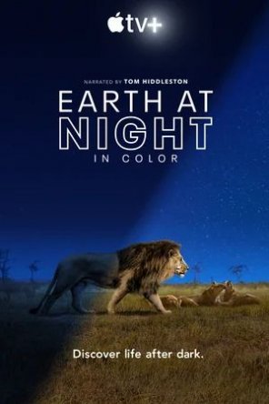     / Earth at Night in Color ( 1) (2020)