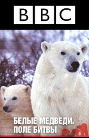 BBC:  .   / BBC: Polar Bear Battlefield / (2008)